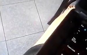 Cocksucking blonde slut