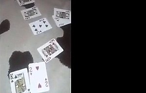 Game of cards and fuck son