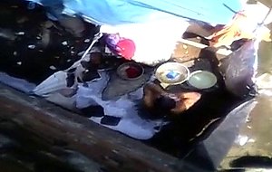 Bangladeshi peeping tom 13 