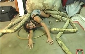 Vore