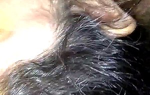 Wet my dick