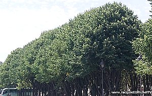 Beautiful blonde teen getting fucked intense