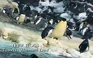 Farce of the penguins