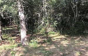 Naked ballad in the forest...