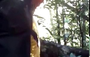 Bear fucks ass in woods