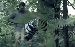 gaymainstream- shank
