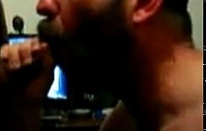 Hairy bear sucking cock