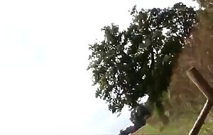 Mature roadside car play