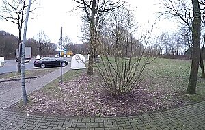Lucy-cat, a1-blowjobdate und rastplatzsperma