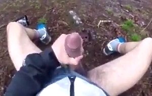 A walk in the wood with happy end