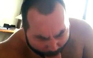 Bear sucking huge cock