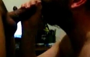 Hairy bear sucking cock
