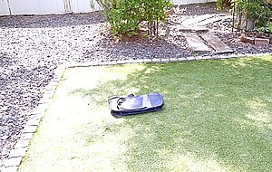 Rebd-766 rin tinkling bells