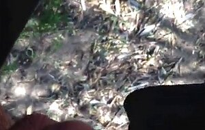 Old men wank my cock