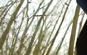 outdoor cock sucking