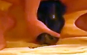 Amateur girl fucks eggplant