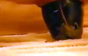 Amateur girl fucks eggplant