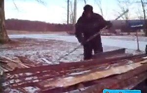 Silver Fox Strokes Wood at the Sawmill