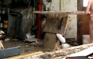 Silver Fox Strokes Wood at the Sawmill