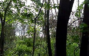 Outdoor Fun: Sucking and Stroking in the Park