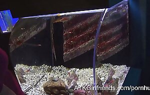You cum on Amanda Tate's stomach after your virtual date to the aquarium