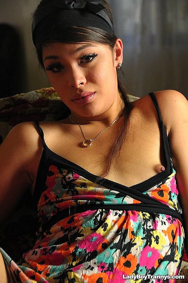 Ladyboy Trannys Hot Gallery